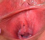 Gapemypussy Paypal Sign Up