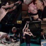 Subspaceland Discount (up To 70%)